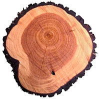 Hout log